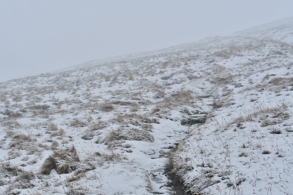 2018-11 Scotland/Ben Lawers/DSC_7739.JPG